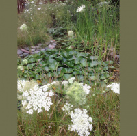 TURNING CHAOS INTO CREATION