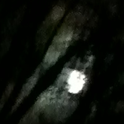 Norma Gentile Sound Shaman Www.healingchants.com