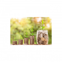 Understanding The Stock Market In 2021 episode # 332