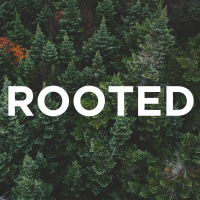 2-24-2019 - Rooted - There Is An Enemy