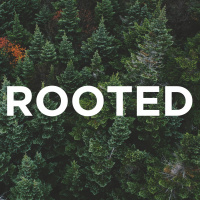 2-10-2019 - Rooted - How Does God Speak to Us?