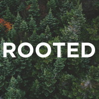 2-3-2019 - Rooted in Christ