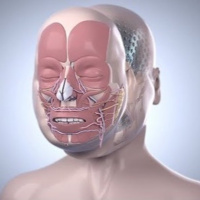 53: The History and Ethics of Face Transplants