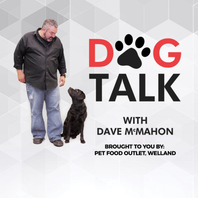 Dog Talk