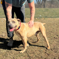 The Mason Jar Cafes Furry Friends Friday featuring Nike!