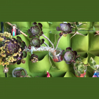 Wasteful Grace for a Chaotic World