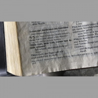 My God, My God - The Gospel of Mark and Psalm 22