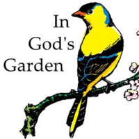 You Must Be Born Again!!