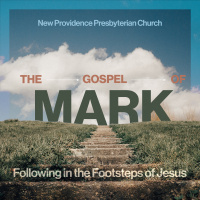 Different Responses to Jesus