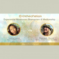 Experiential Mushroom Shamanism  Mediumship | Shonagh Home – EN29