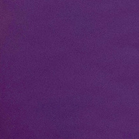 EP. 11 TEPM. II Enfermera X. Entrevista a Paco y Carmen