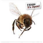 De Wonderbaarlijke Wereld Van Zaza De Bij