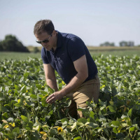 Hey, did you hear about all those tariffs?