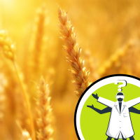 How do we reduce emissions from fertilisers?