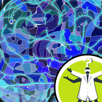 How much brain capacity do our senses take up?