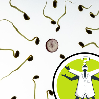 Question Of The Week - From The Naked Scientists