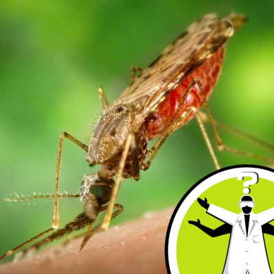 Question Of The Week - From The Naked Scientists