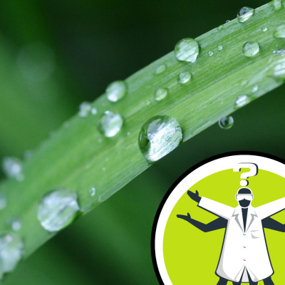 Question Of The Week - From The Naked Scientists
