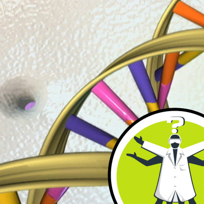 Question Of The Week - From The Naked Scientists