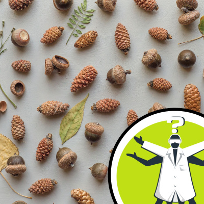 Question Of The Week - From The Naked Scientists