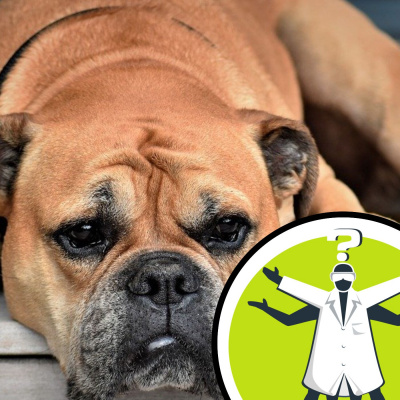 Question Of The Week - From The Naked Scientists