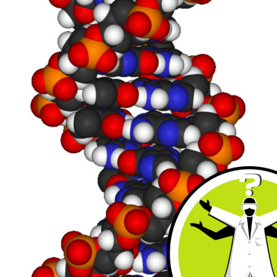 Question Of The Week - From The Naked Scientists