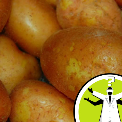 Question Of The Week - From The Naked Scientists