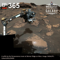 Chemical Whispers of Life on Mars