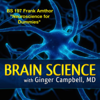 BS 197 (Encore) Neuroscience for Dummies with Frank Amthor