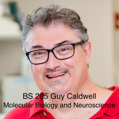 Brain Science With Ginger Campbell, Md: Neuroscience For Everyone