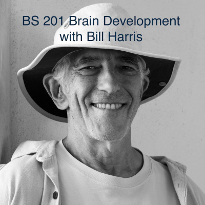 Brain Science With Ginger Campbell, Md: Neuroscience For Everyone