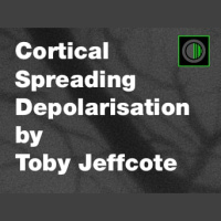 Cortical Spreading Depolarisation in Neurological Disease - An Introduction
