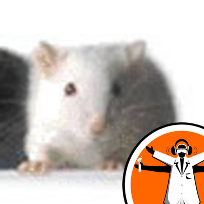Naked Scientists Special Editions Podcast