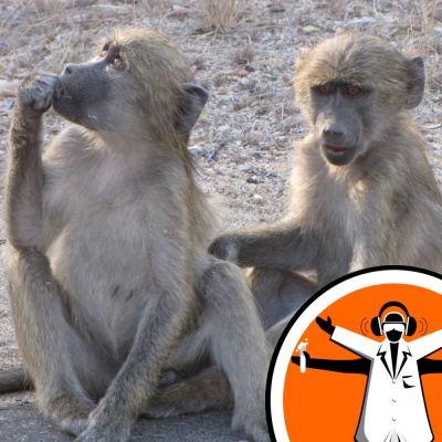 Naked Scientists Special Editions Podcast