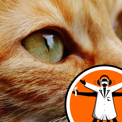 Naked Scientists Special Editions Podcast