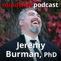 A History of Meaning - Jeremy Burman