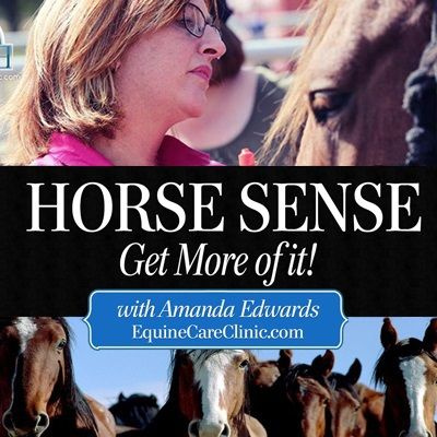 Horsesense
