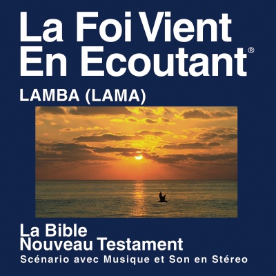 Lamba for Togo Bible