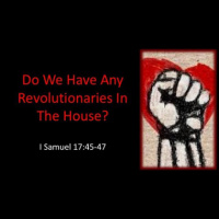 Do We Have Any Revolutionaries In The House? - Audio