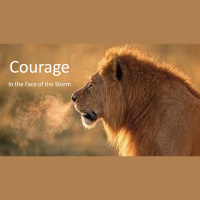 Courage In The Face Of The Storm - Audio