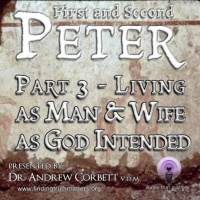 The Epistles of Peter - Christian Living, Part 3 ~ Living as Man and Wife as God Intended