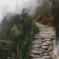 Holy Highway - Reawakenings cd2 - Carol Sampson