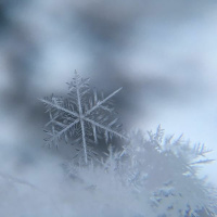 16 See Amid The Winters Snow