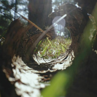 Listen and Understand - Reawakenings cd4 track 16