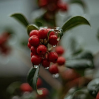 A Time to Grieve - Reawakenings cd 3 track 3