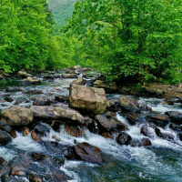 12 Corelli - Trio Sonata Op. 3, No 2 - 2 Allegro