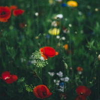 Set free from bondages past - Reawakenings cd 3 track 9