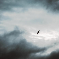 6 Cimarosa - Oboe Concerto, 1st Movement - Deep calls to deep