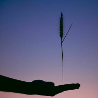 Sights and Sadnesses - Reawakenings cd 3 track 5