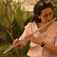 17 Mozart - Flute  Harp Concerto, 2nd Movement